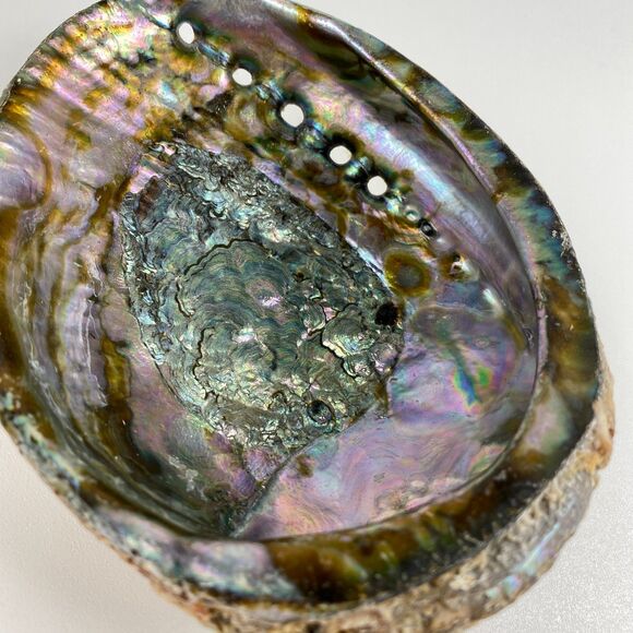 Abalone Shell 6”x5” Beautiful Display Piece Coastal Decor Trinket Dish Beach - Picture 4 of 12